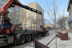 Fred-Langhorst-Pic02